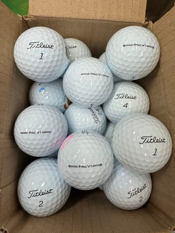 12 TitLEIST PRO V1  2023/2024 Pearl/Grade A Lake Balls