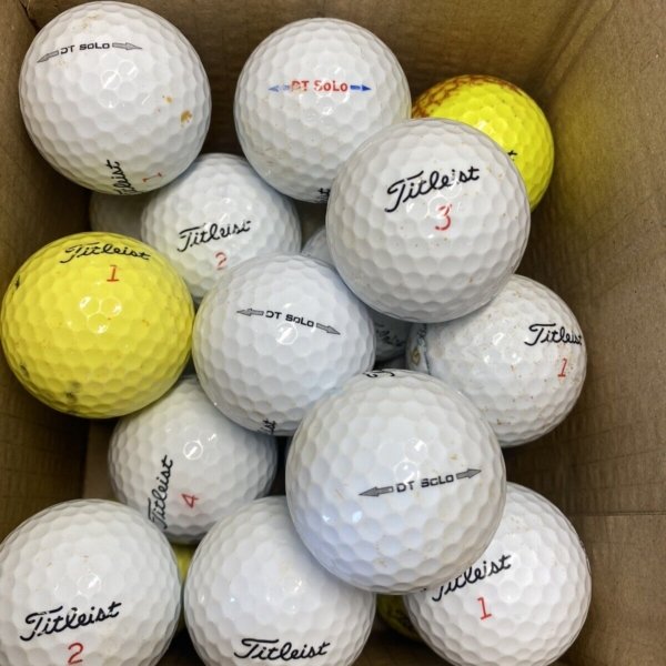 24 Titleist DT Solo Grade B Lake Balls (Qty. 24)