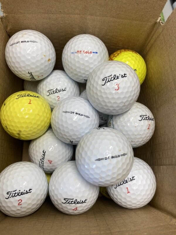 24 Titleist DT Solo Grade B Lake Balls (Qty. 24)