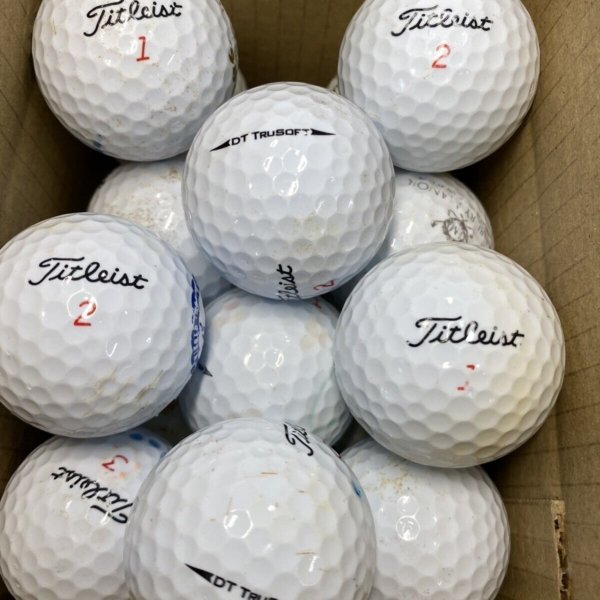 24 Titleist DT Trusoft B GRADE Lake Balls (Qty. 24)