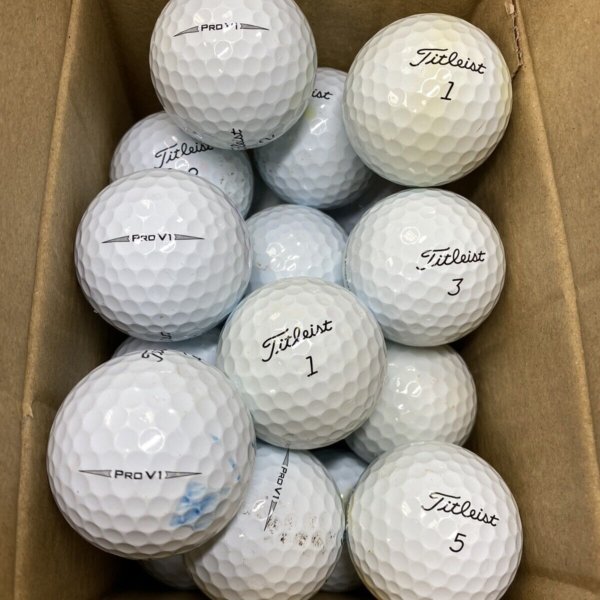 24 Titleist Pro V1 2020 B GRADE Lake Balls
