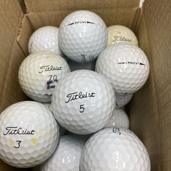 24 Titleist Pro V1 Black Arrows B GRADE Lake Balls
