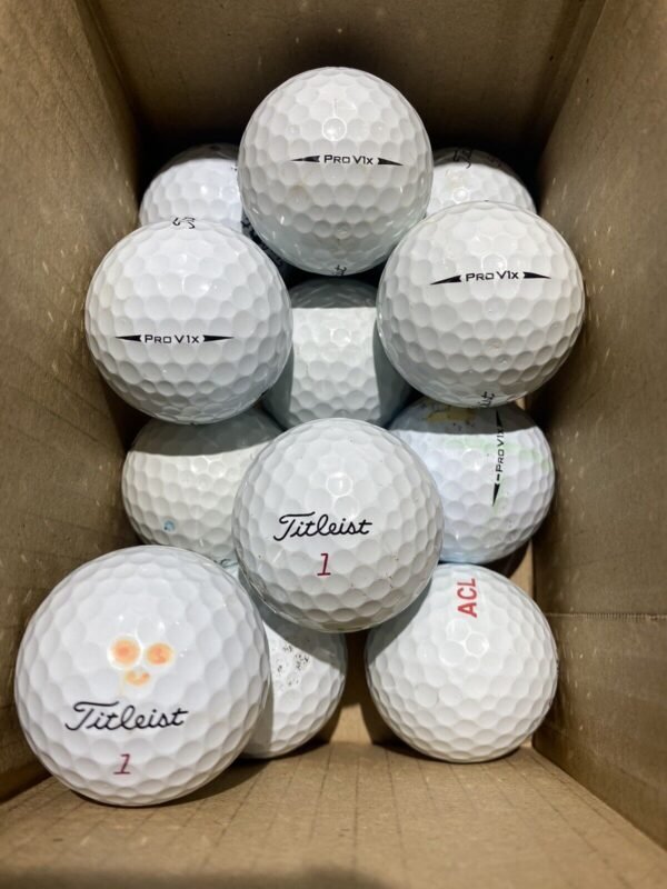 24 Titleist Pro V1 X Black Arrows B GRADE Lake Balls