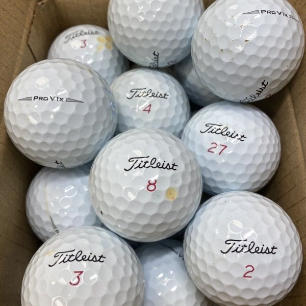 24 titleist pro V1X 2020 B GRADE Lake Balls (Qty. 24)