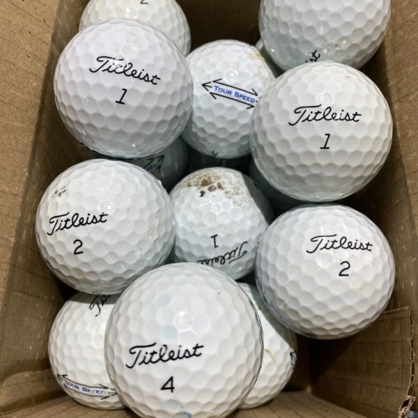24 Titleist Tour Speed Grade B Lake Balls