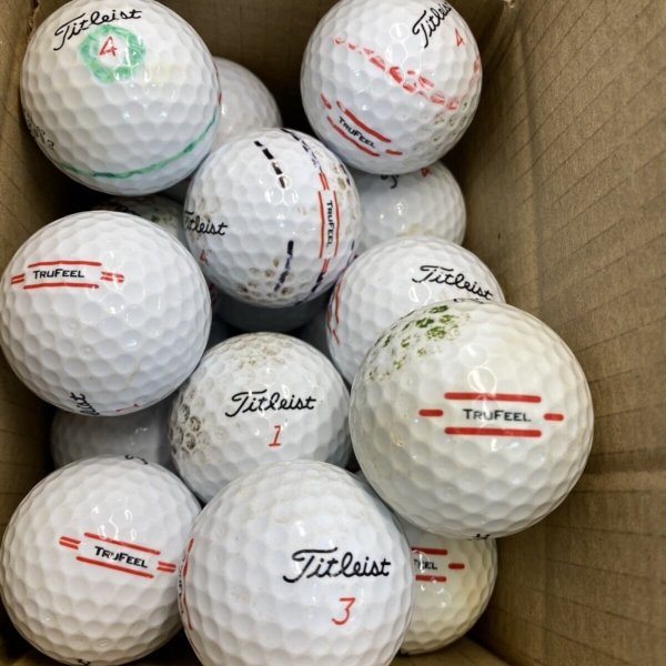 24 Titleist trufeel B GRADE Lake Balls (Qty. 24)