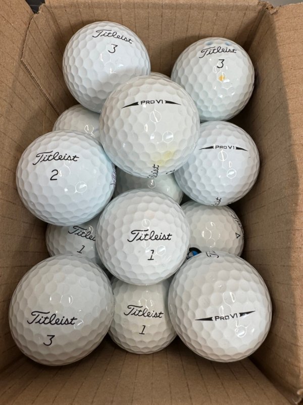 12 Titleist Pro V1 Black Arrows PEARL/A Lake Balls